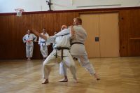 Bilder_2023 (53)